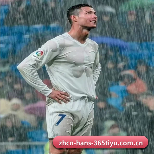 365体育登录入口 APP